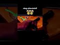 2. Rendom funny video