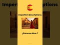 Can you describe the past in Spanish? 🇪🇸