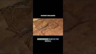 Megalithic Tunnels Built with Precision Stonework