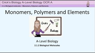 Year 1 A-level Biology - Biological Molecules - Monomers, Polymers, Elements #cricksbiology #biology