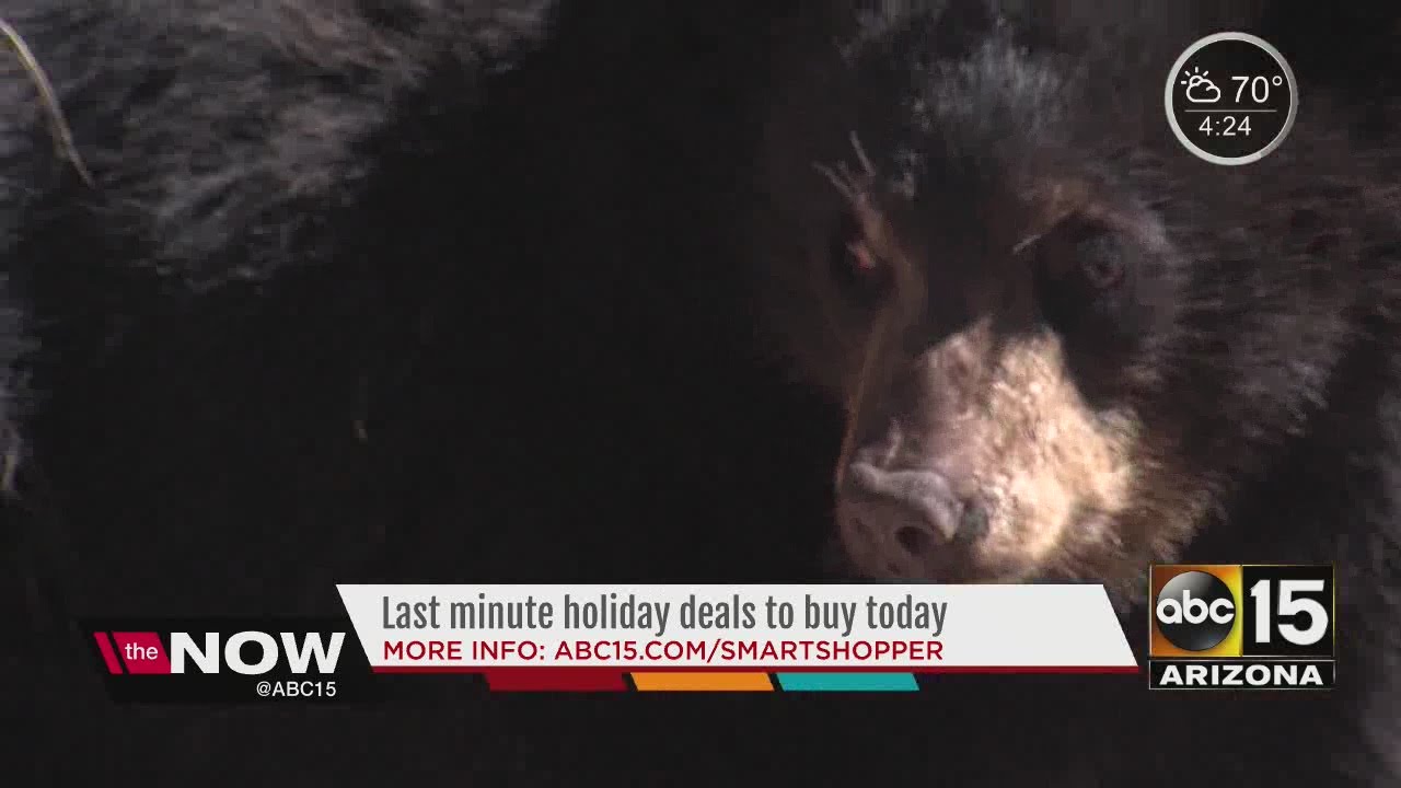 Three deals to get days before Christmas