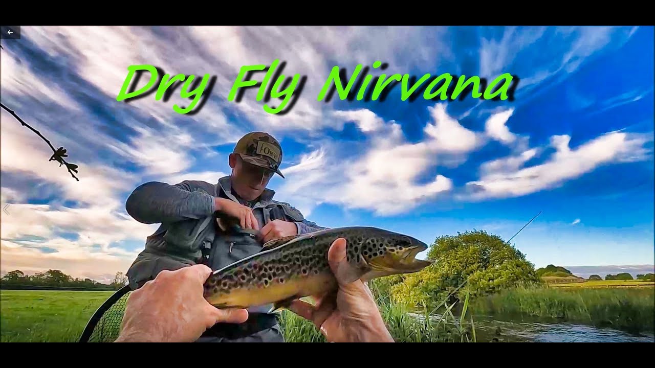 Dry Fly Nirvana