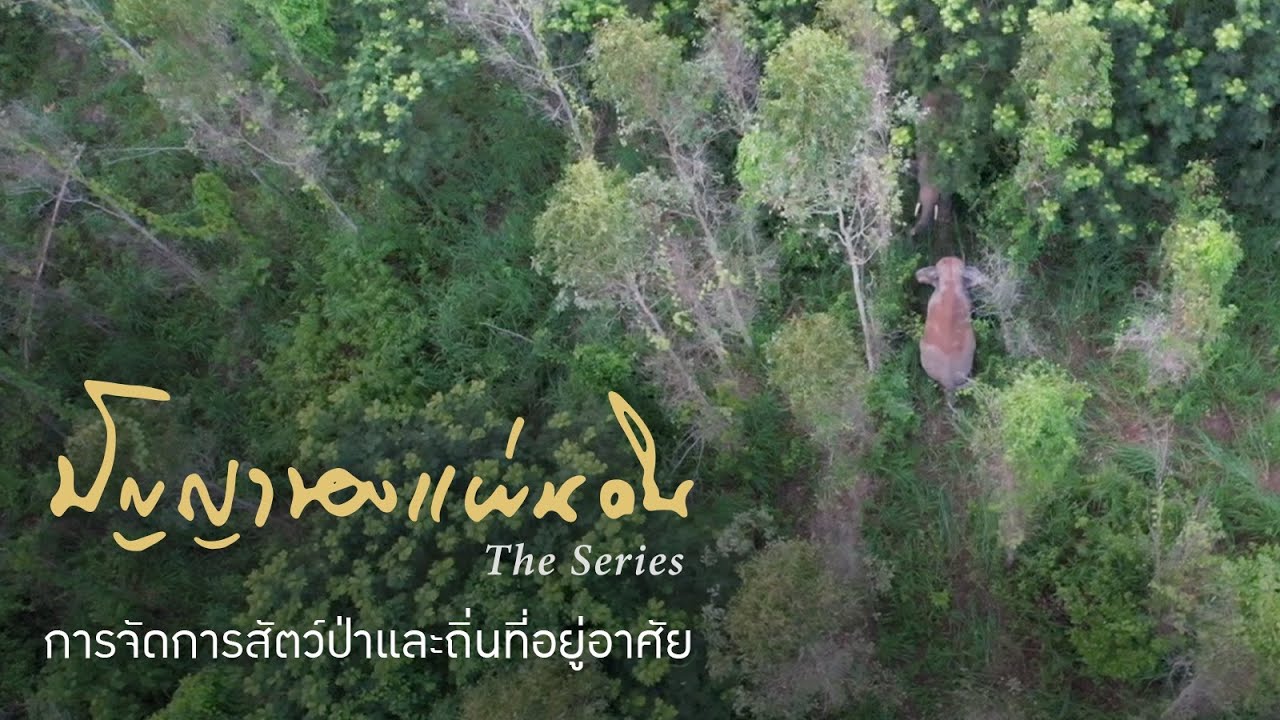 การจัดการสัตว์ป่าและถิ่นที่อยู่อาศัย | ปัญญาของแผ่นดิน