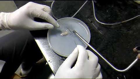 Concentration response curve demonstration.