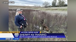 K9 search and rescue teams went through human remains detection training Saturday