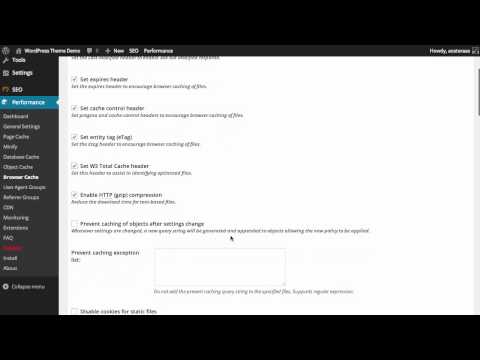 W3 Total Cache: Browser Cache