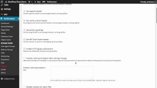 W3 Total Cache: Browser Cache