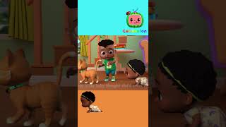 Can you catch the itsy bitsy spider?  🕷️👶🏽 #shorts  | Learn with Cody from CoComelon!