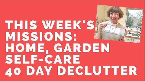 40 Day Declutter! This week