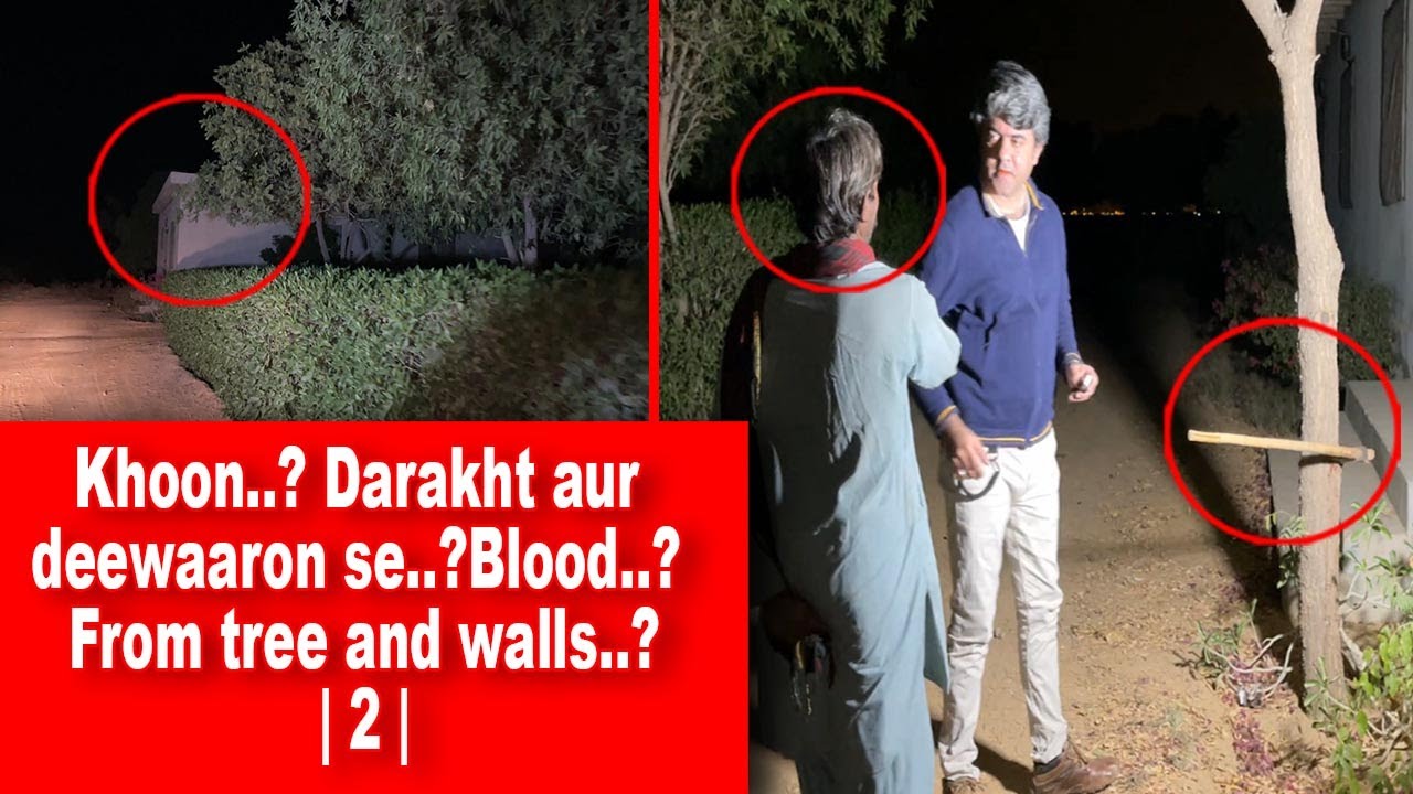 Khoon Tree SSD 335 | Khoon..? Darakht aur deewaaron se..?Blood..? From tree and ...