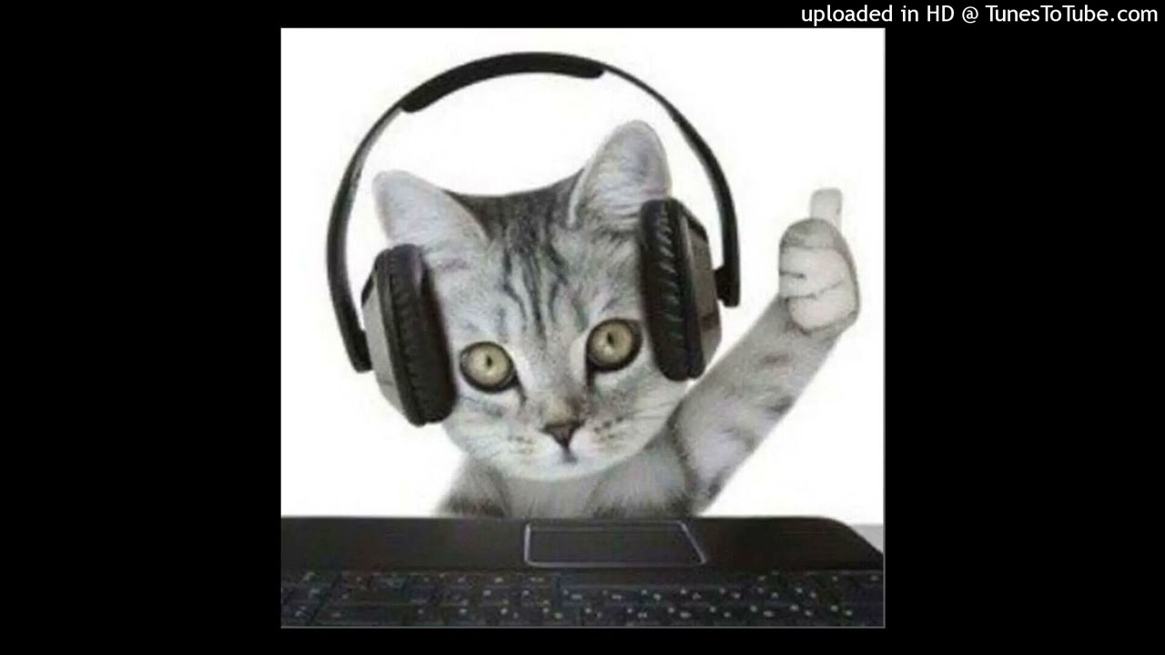 [FREE] ginseng+ prettifun + lucy bedroque type beat - 