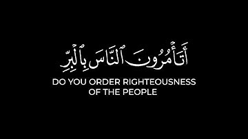 أتأمرون الناس بالبر وتنسون أنفسكم | عبدالعزيز ظفر كرومات قرآن شاشة سوداء من سورة البقرة