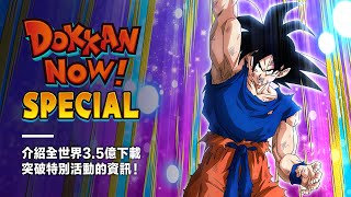 DOKKAN NOW! SPECIAL (繁體中文)