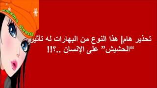 تحذير هام هذا النوع من البهارات له تأثير الحشيش على الإنسان ..؟!!