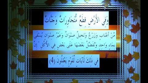 القرآن الكريم سورة الرعد الأية 4 قراءة السديس.wmv