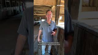 Massachusetts farm offers long-term recovery treatment