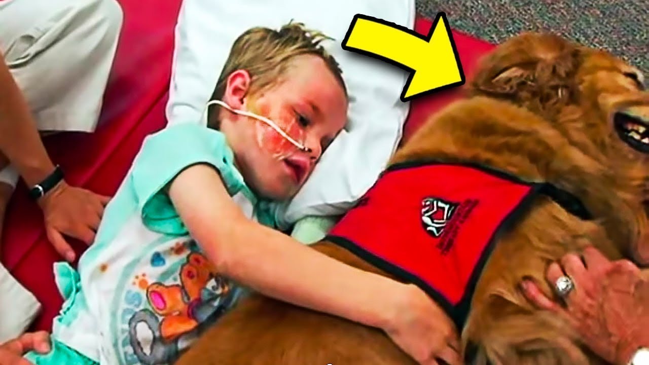 ⁣Dyi ng Boy Says 'Goodbye' to Dog, But Miracles Happen When You Lie Next to Him...
