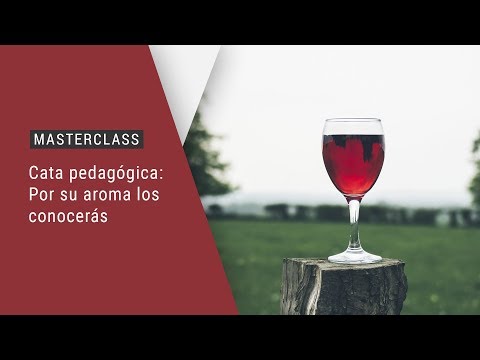 Masterclass: Cómo conocer el vino por su aroma