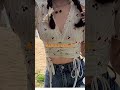 beautiful crop top designs for girl's 2025 #trending #fashion #crops #designer