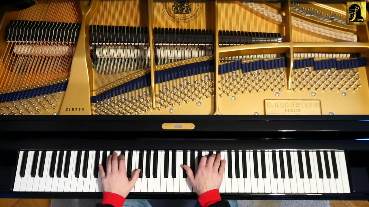 Mazurka e-Moll Chopin Op.41 Nr.1 C.Bechstein A228