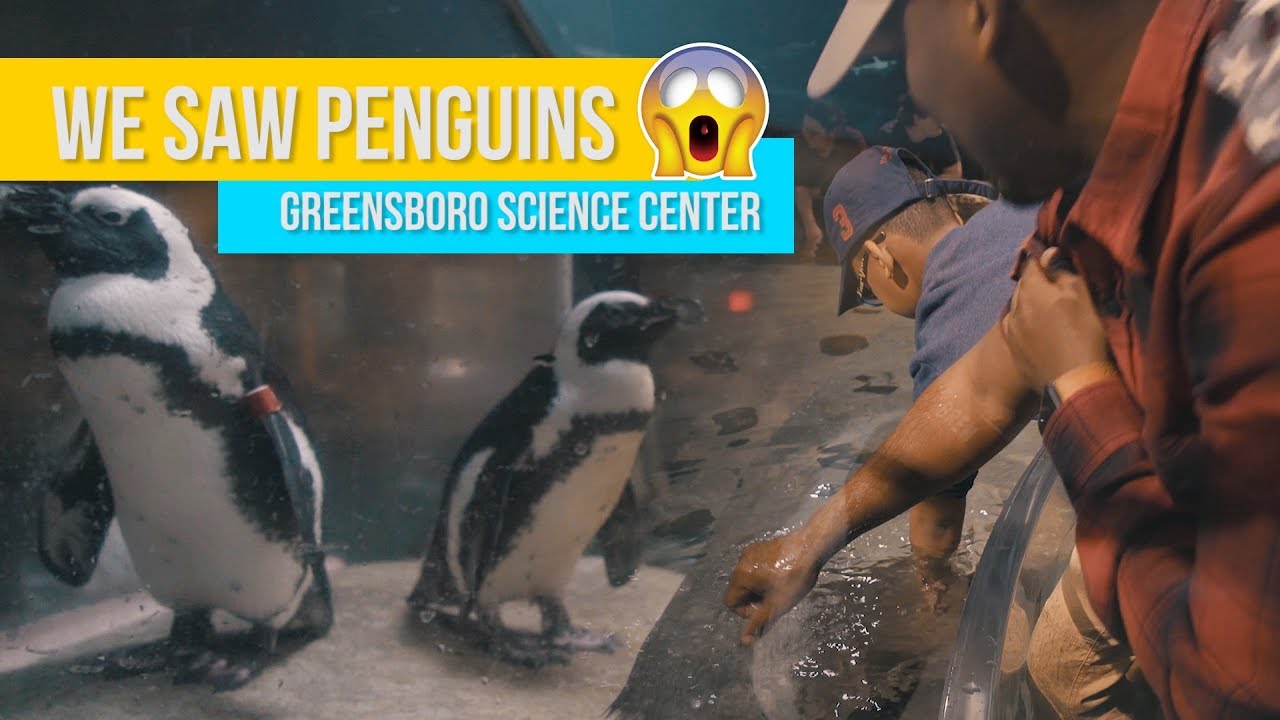 We Saw Penguins | Greensboro Science Center - YouTube