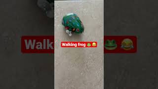 Walking frog 🐸 😂 #walking  #frog