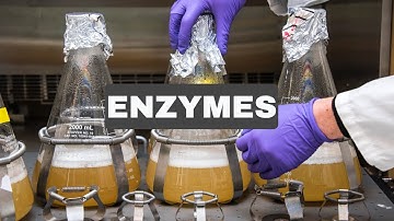 Enzymes(1) | Explained| Biochemical & Bioprocess Engineering