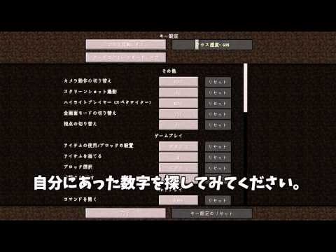 【マイクラ】3D酔いする人に試してほしい設定【マインクラフト】