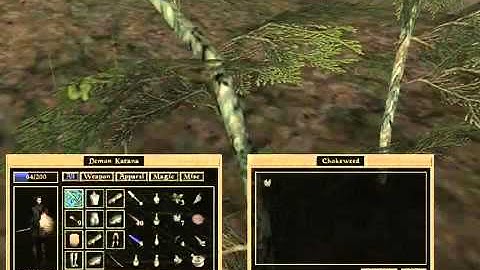 Lets Interactively Play Morrowind Part 22 Fist fighting! part 3 of 4)