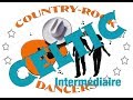 RAGGLE TAGGLE GYPSY O Line Dance (Dance & teach in French)