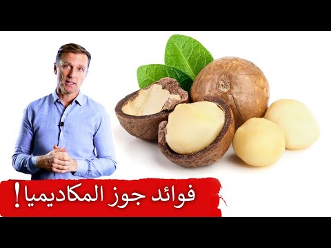 فيديو: لماذا مكسرات المكاديميا مفيدة لك