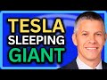 Tesla and nvidia match made in heaven morgan stanley adam jonas