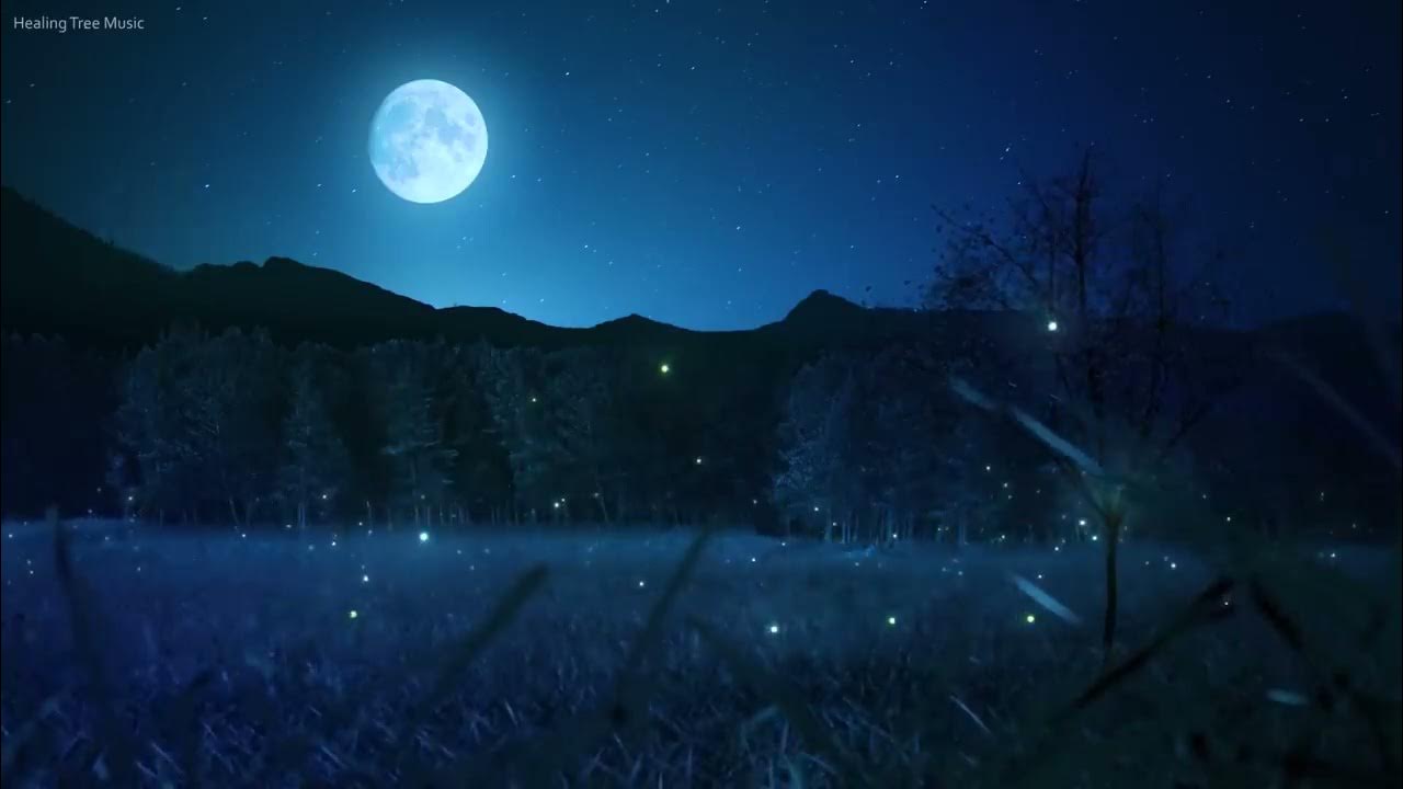 1시간 잔잔한 수면음악 + 풀벌레소리 🎵 스트레스 해소음악, 잠잘때 듣는 음악, 불면증치료음악, 수면유도음악 (My Dream) 1시간 잔잔한 수면음악 + 풀벌레소리 🎵 스트레스 해소음악, 잠잘때 듣는 음악, 불면증치료음악, 수면유도음악 (My Dream)
