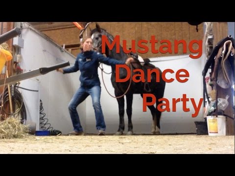 Mustang Dance Party! Elle King Inspires Alternative Horse Training Technique