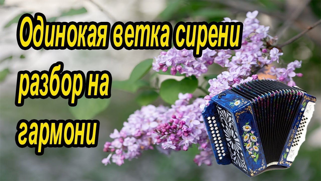 Ветка сирени разбор