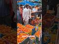 Tamatar Mein Bhari Teji🍅 tamatar ka bhav 🍅 tamatar ka rate 🍅 tomato rate🍅 #shafeeqbarabanki #tomato