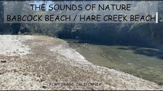 FORT BRAGG, CALIFORNIA - SOUNDS OF NATURE