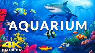 Аквариум 4K ВИДЕО 🐠 Морские животные под расслабляющую музыку - Красочное видео о морской жизни