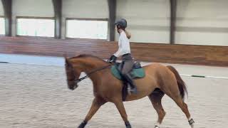 30 2023 Flat Box Schooling, Practicing 2022 USET Finals Flat Phase Test (Jumper)