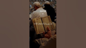 قران كريم بصوت جميل ومؤثر 🎧🥰 #قرآن #قران_كريم متابعة للصفحة فضلاً 🥰🤍