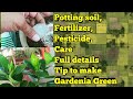 Gandhraj की मिट्टी में यह डालिए,हरे भरे पत्तों और फूलों से भर दीजिए. 🌿🌿🌷🌷Best Soil for Gardenia