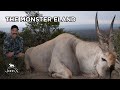 The monster eland  john x safaris
