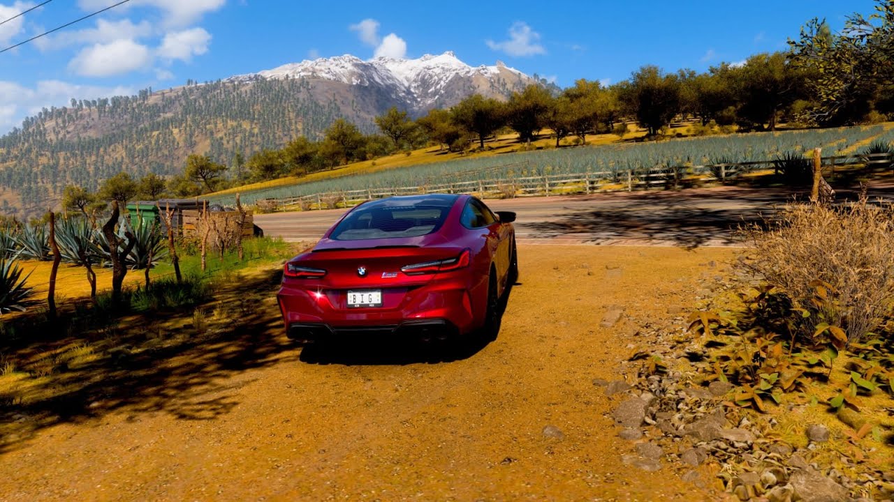 BMW M8 COMPETITION - Forza Horizon 5 | LOGITECH G29