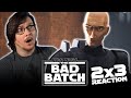 STAR WARS: THE BAD BATCH 2x3 REACTION &quot;The Solitary Clone&quot;