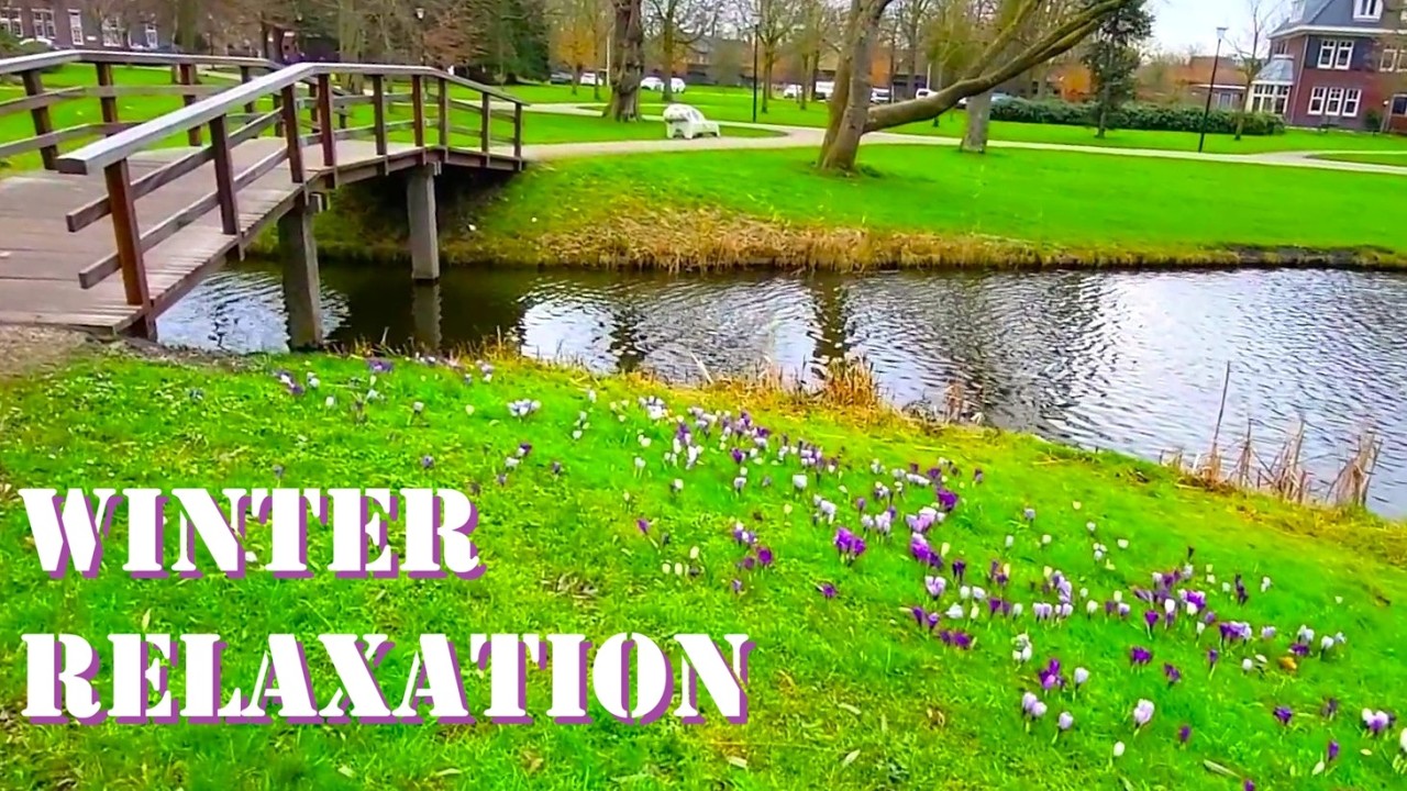 Первый день весны в Нидерландах. Расслабляющие фонтанные крокусы. Дневник впечатлений и воспоминаний