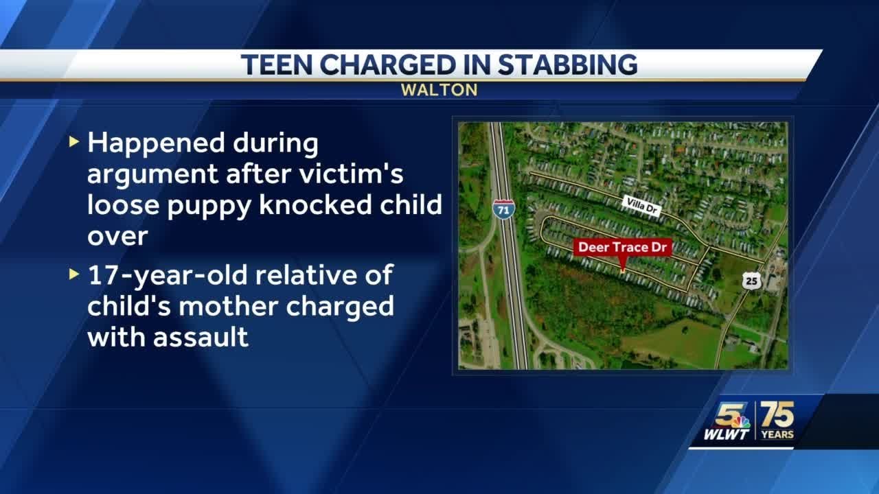 Sheriff Teen arrested after argument over puppy leads to stabbing in