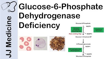 Glucose-6-Phosphate Dehydrogenase Deficiency | Symptoms, Pathophysiology, Diagnosis and Treatment