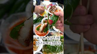 아픈달의 여행탐방 : 가평 밤나무계곡캠핑장