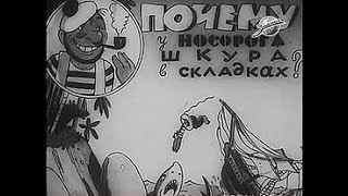 Почему У Носорога Шкура В Складках 1938
