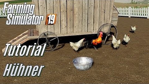 LS19: Hühner Tutorial - für Einsteiger